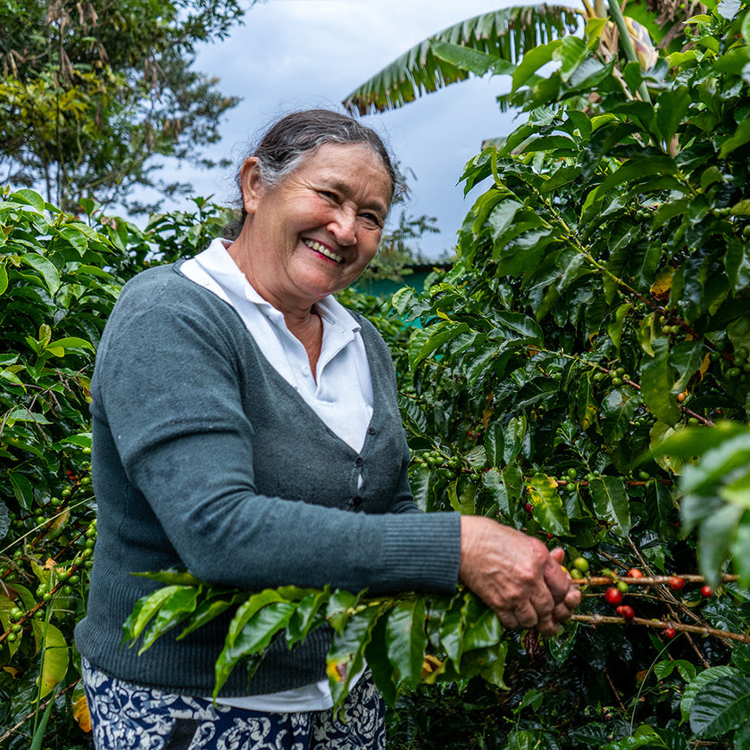 The Heart of Juan Valdez