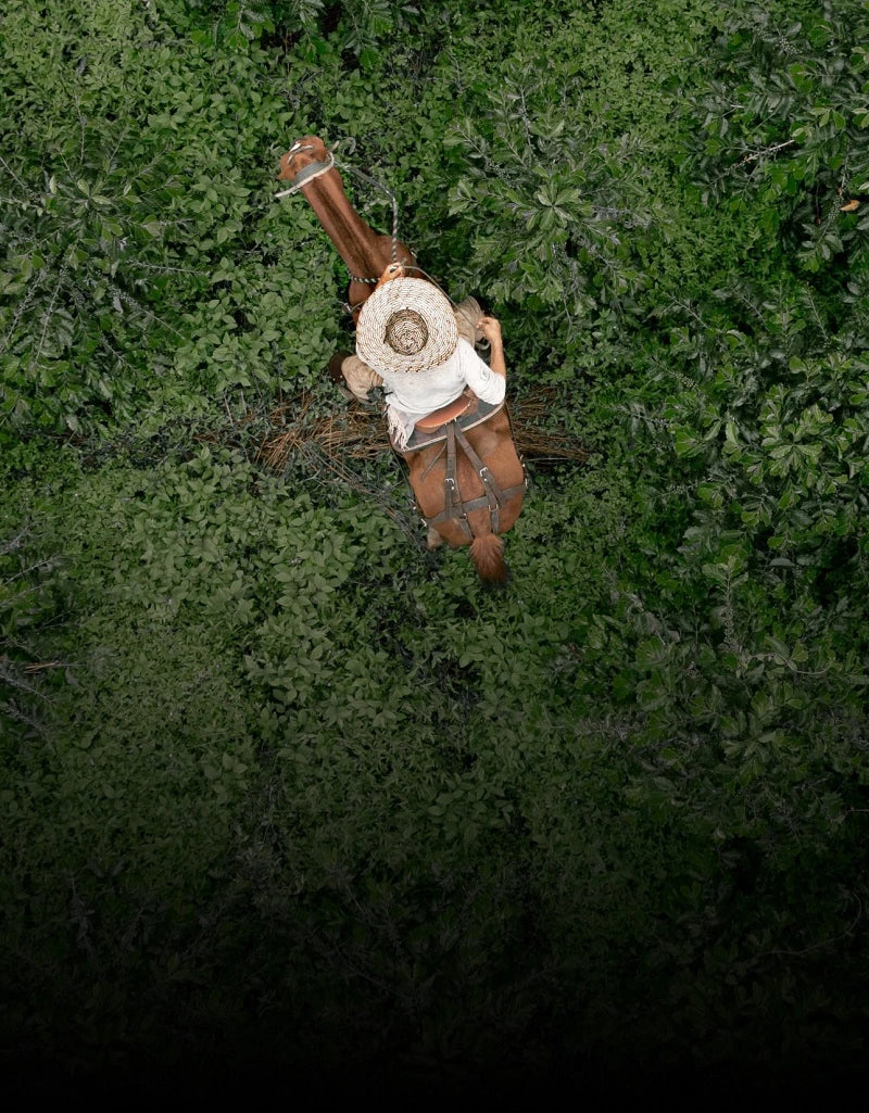 The Richest Coffee in the World