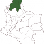 Cumbre Coffee | Dark Roast | Ground | 12oz